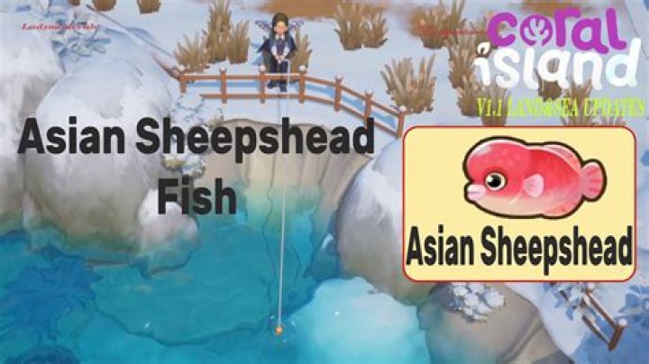 All You Need to Know About Asian Sheepshead: A Complete Guide