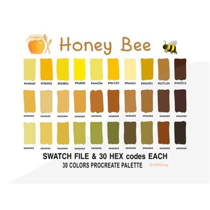 Amazing Bee Colors: A Guide to Bee Color Variations