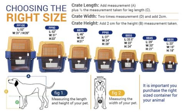 Best Crates: The Ultimate Guide to Choosing the Right Crate for Your Needs