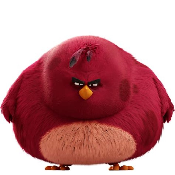 Big Red Angry Bird: The Iconic Character of the Gaming World