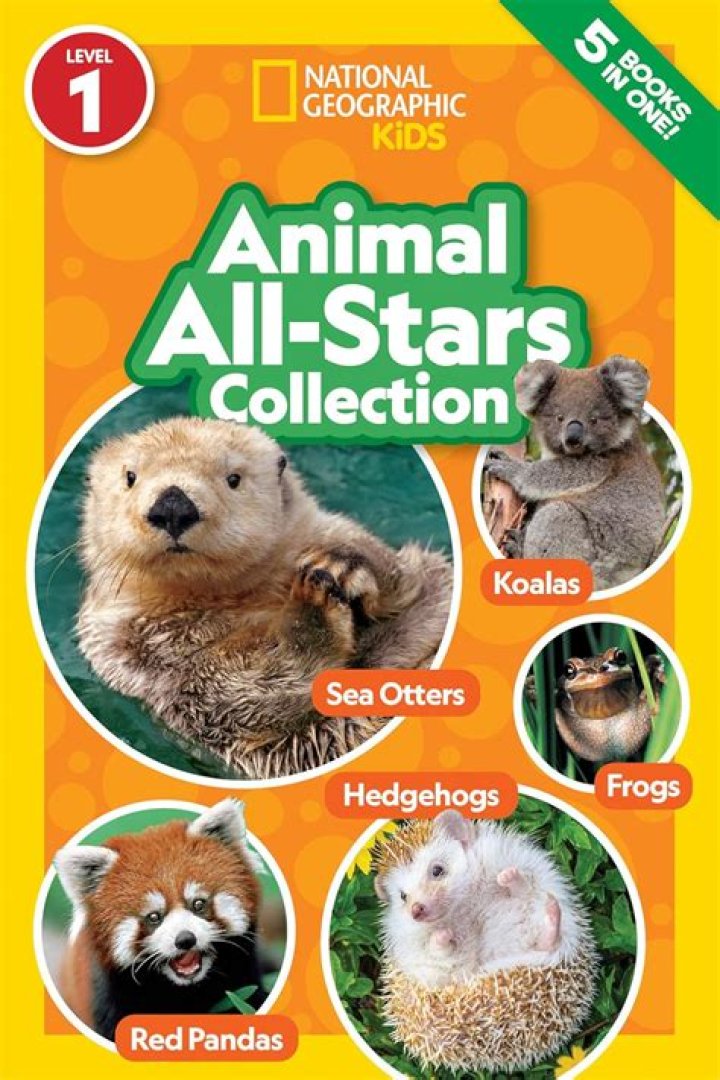 Complete Your National Geographic Collection: Buy Rare Magazines Today!