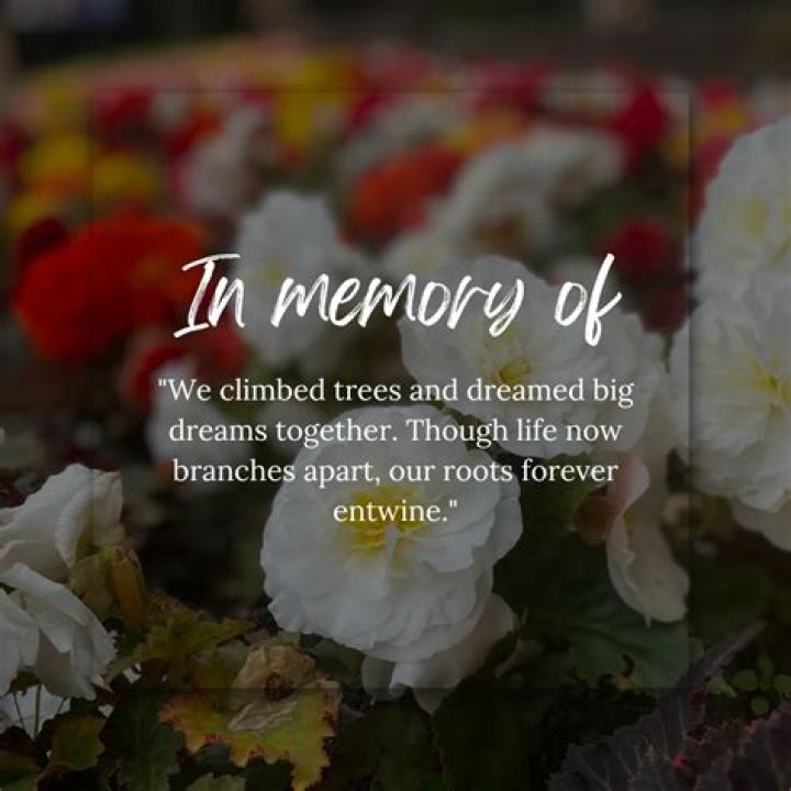 Death Anniversary Quotes: Honoring Memories with Heartfelt Messages