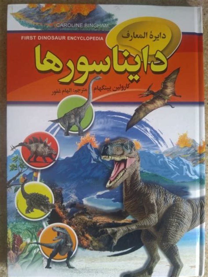Discover Kari Buzurg: Amazing Facts & Stories