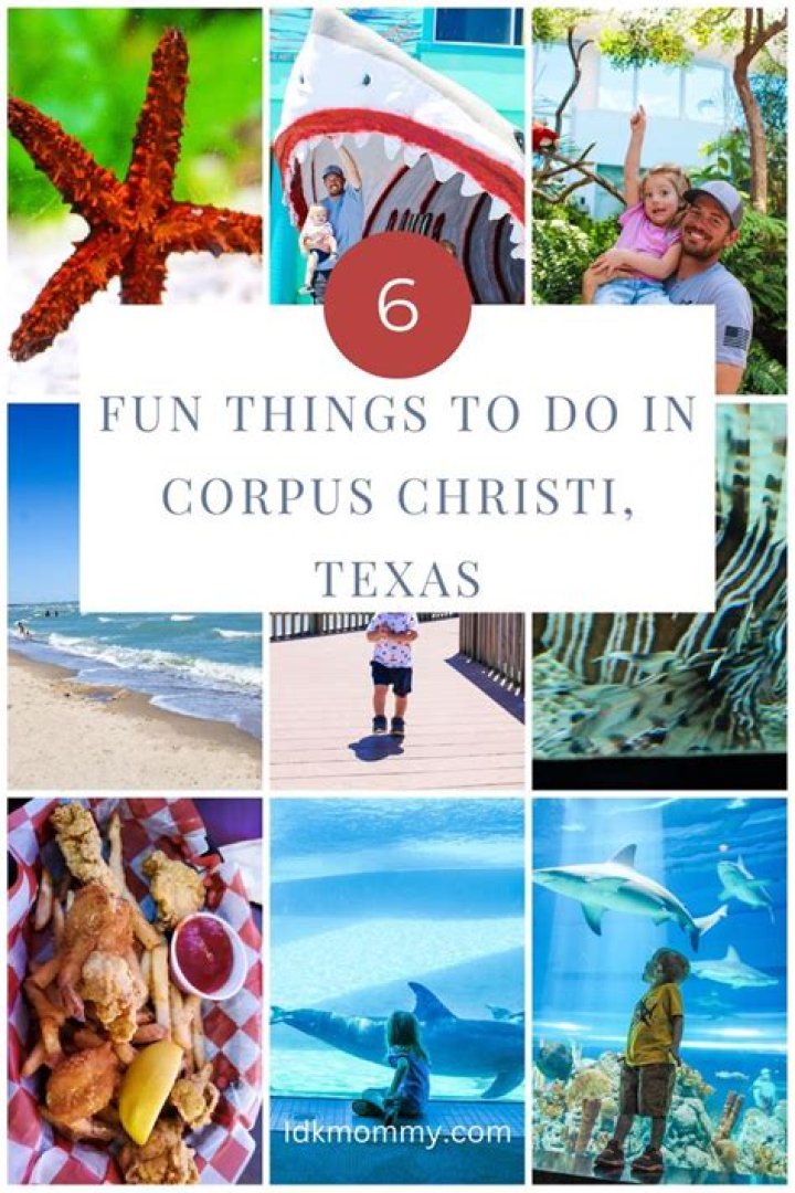 Discover the Best Things to Do in Corpus Christi, Texas