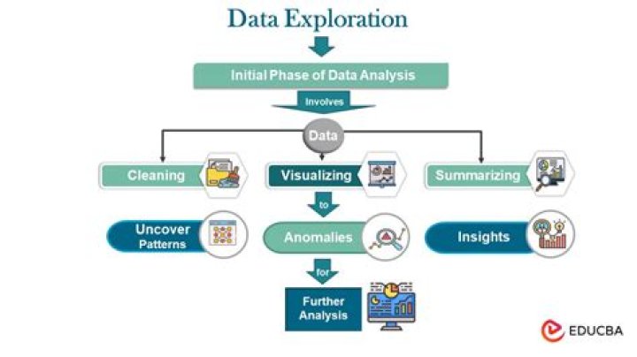 Discover the Latest xnxnxnxnxn Media Resources: A Comprehensive Exploration