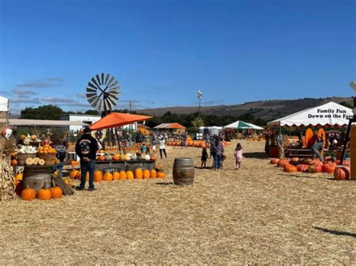 Discover the Magic of Spina Farms Pumpkin Patch: A Family-Friendly Fall Destination
