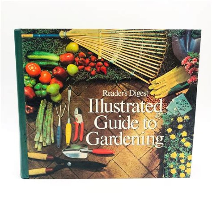 Discovering Petitis Garden Center: Your Ultimate Guide to Gardening Excellence