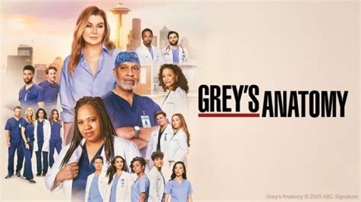 Exploring the First Season of Grey's Anatomy: A Comprehensive Guide