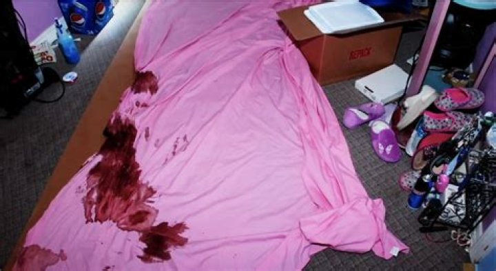 Gypsy Rose Crime Scene Pictures: A Deep Dive into the Shocking Case