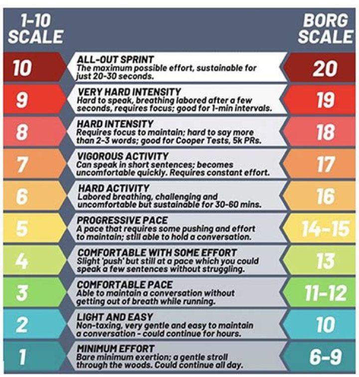 How to Make a Borg: The Ultimate Guide