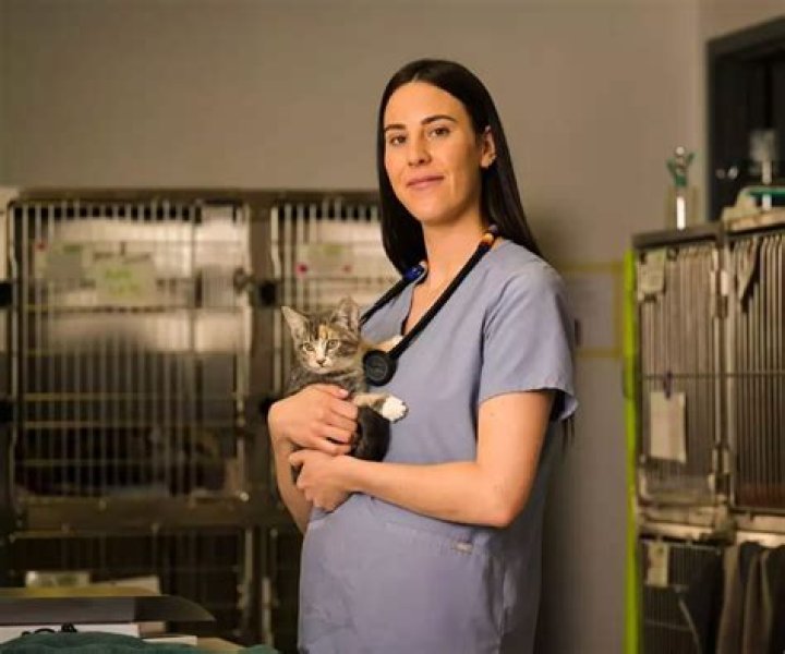 Jackson's Vet: Expert Animal Care & Emergency Services