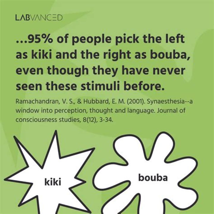 Kiki and Bouba: Understanding the Psychology Behind Shape and Sound Associations