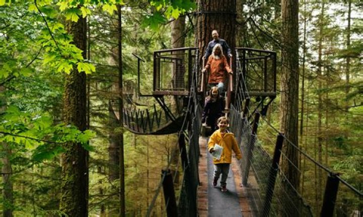 LookWhatMomFound: Your Guide to Family-Friendly Fun and Resources