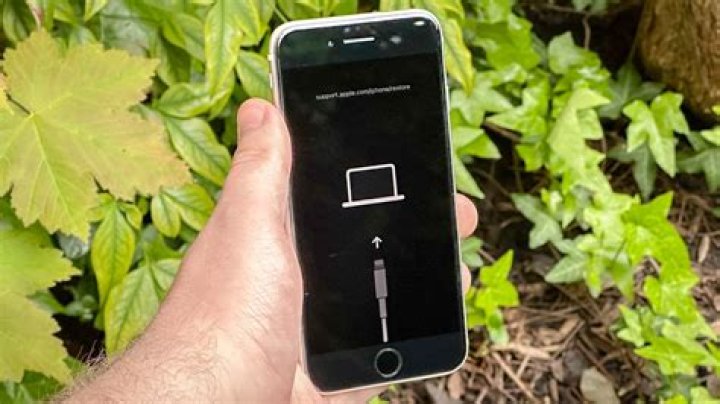 Mastering Your Device: A Comprehensive Guide on How Do I Reset My Phone