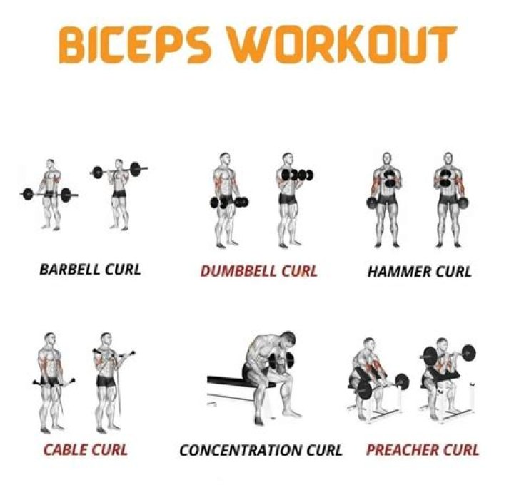 Maximize Flexed Biceps: Workout Tips &amp; Exercises