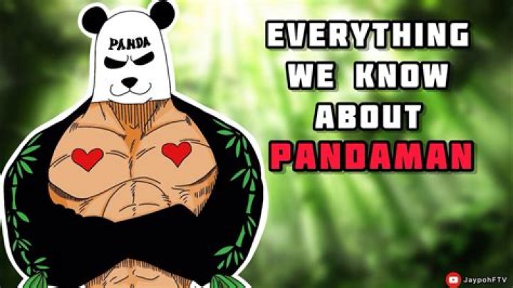 Pandaman: The Enigmatic Character of One Piece