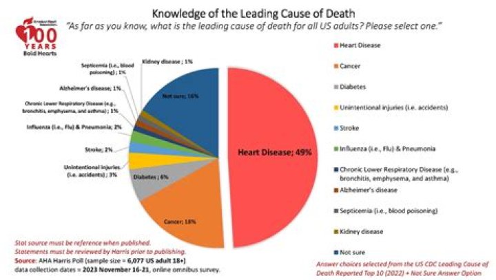 Pioneer Woman Stroke Cause of Death: What We Know