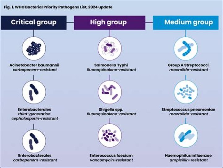 Ramen Bacteria 2024: Understanding the Microbial Landscape in Your Bowl