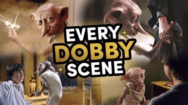 **The Magical World of Dobby: A Deep Dive into Dobby Sit Down**