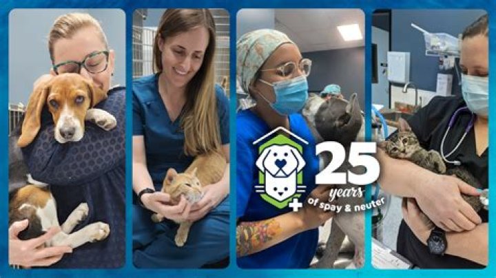 Trustworthy Pet Care in Las Vegas | Vegas Pet Family
