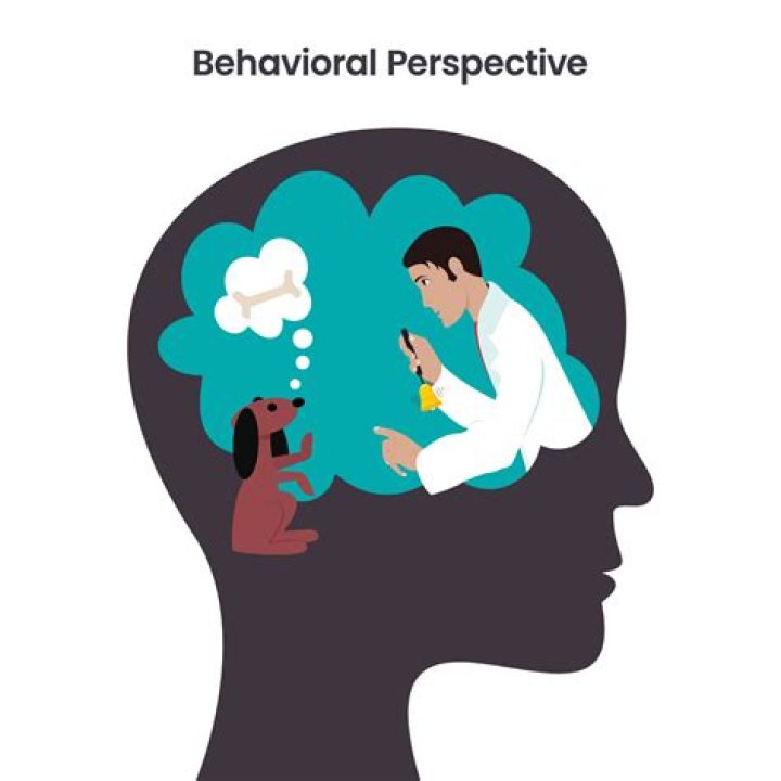 Understanding Comprehensive Behavioral Approaches in Psychology
