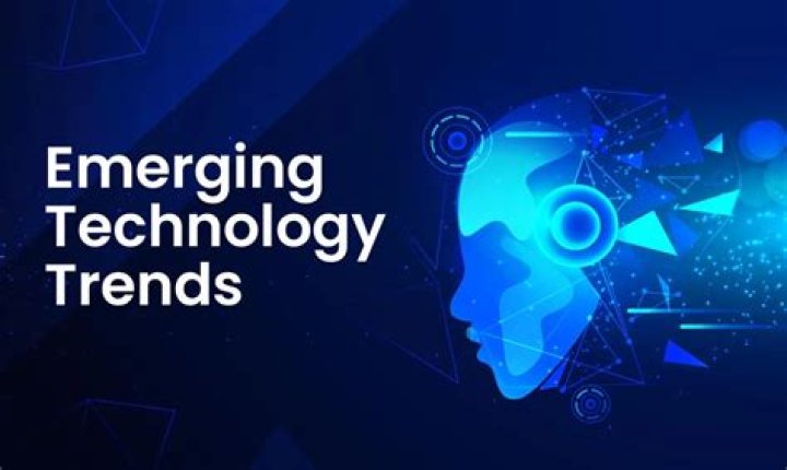 Understanding Desimms: The Emerging Trend in Digital Business Management