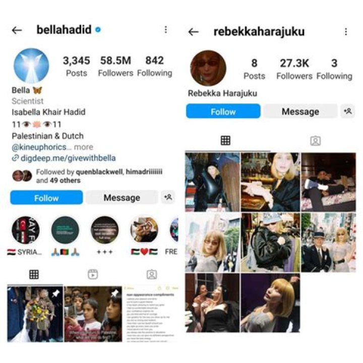 Understanding Finsta: The Hidden World of Fake Instagram Accounts