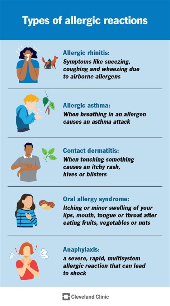 Understanding Hitch Allergic Reactions: Causes, Symptoms, and Treatment