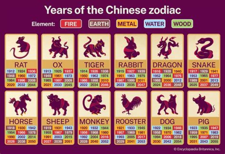 Understanding the 2003 Chinese Zodiac: The Year of the Goat