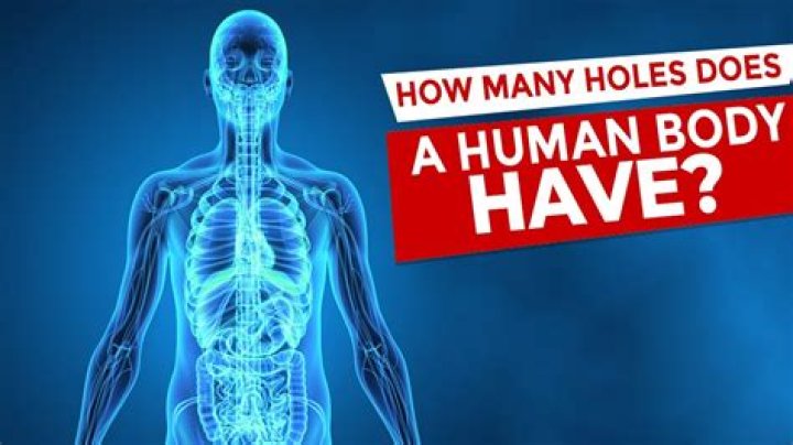 Understanding the Female Anatomy: How Many Holes Does a Woman Have?