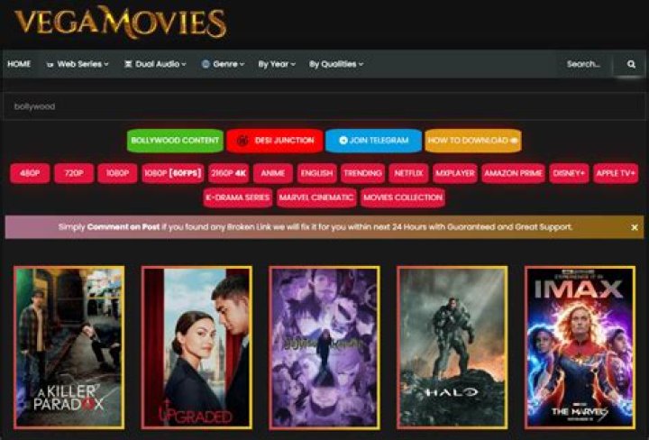 Vegamovies Official Website: Everything You Need to Know