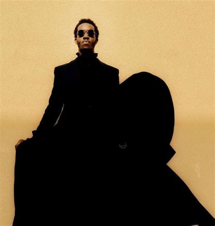 Why Wisdom Kaye's Net Worth Matters in Today's Fashion Industry